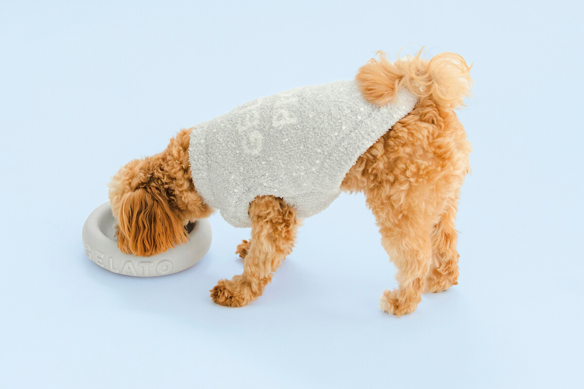 ジェラートピケの犬用服「べビモコネップドッグプルオーバー」 by GELATO PIQUE CAT&DOG