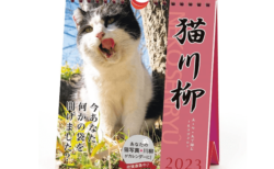 ねこの本音を五・七・五で表現する「猫川柳」の募集がスタート！優秀作品は猫川柳カレンダーにも掲載