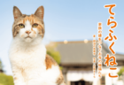 住職と6匹の猫たちのレアショットも収録、那須の長楽寺から新しい写真集『てらふくねこ』が登場