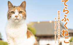 住職と6匹の猫たちのレアショットも収録、那須の長楽寺から新しい写真集『てらふくねこ』が登場