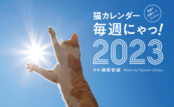 ネコたちのとびきり面白いシーンをたっぷり収録！写真家・藤範智誠さんによる猫カレンダーが発売