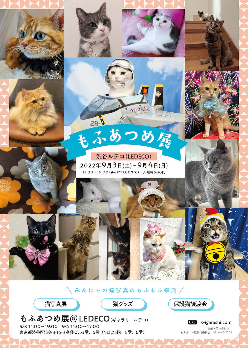 ギャラリーLE DECO（ルデコ）で開催される猫写真展「もふあつめ展」 in 渋谷
