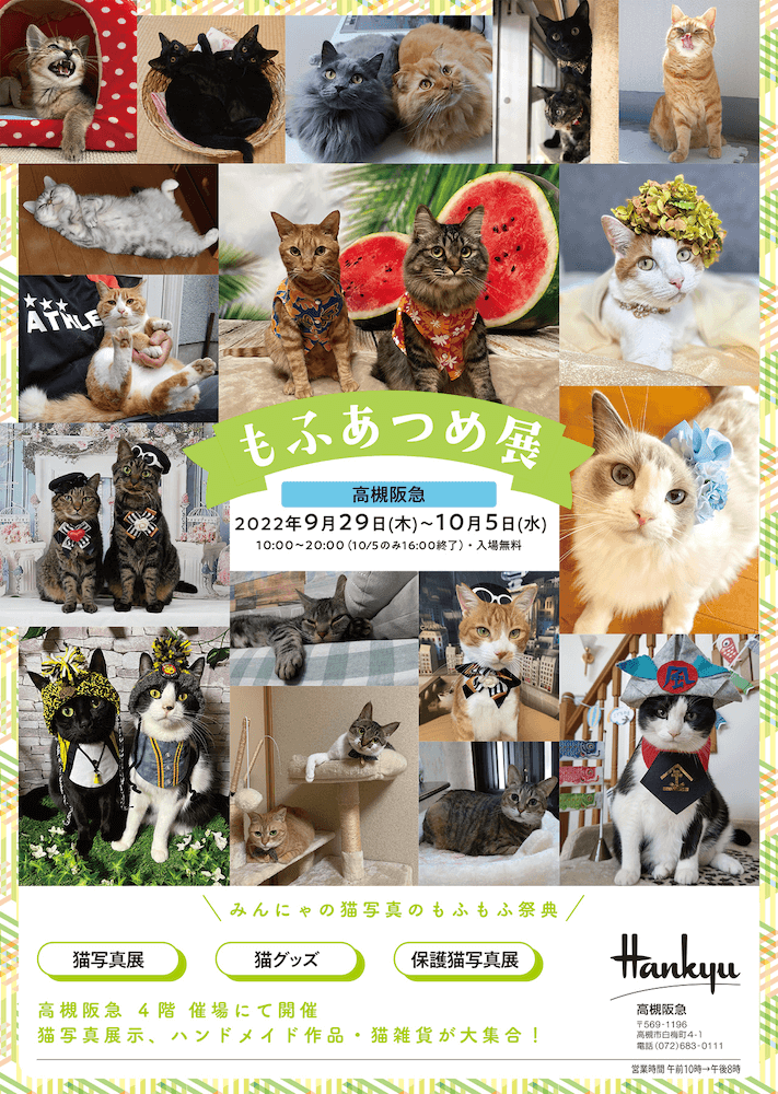 猫の写真やイラスト作品などを展示する『もふあつめ展』 in 高槻阪急