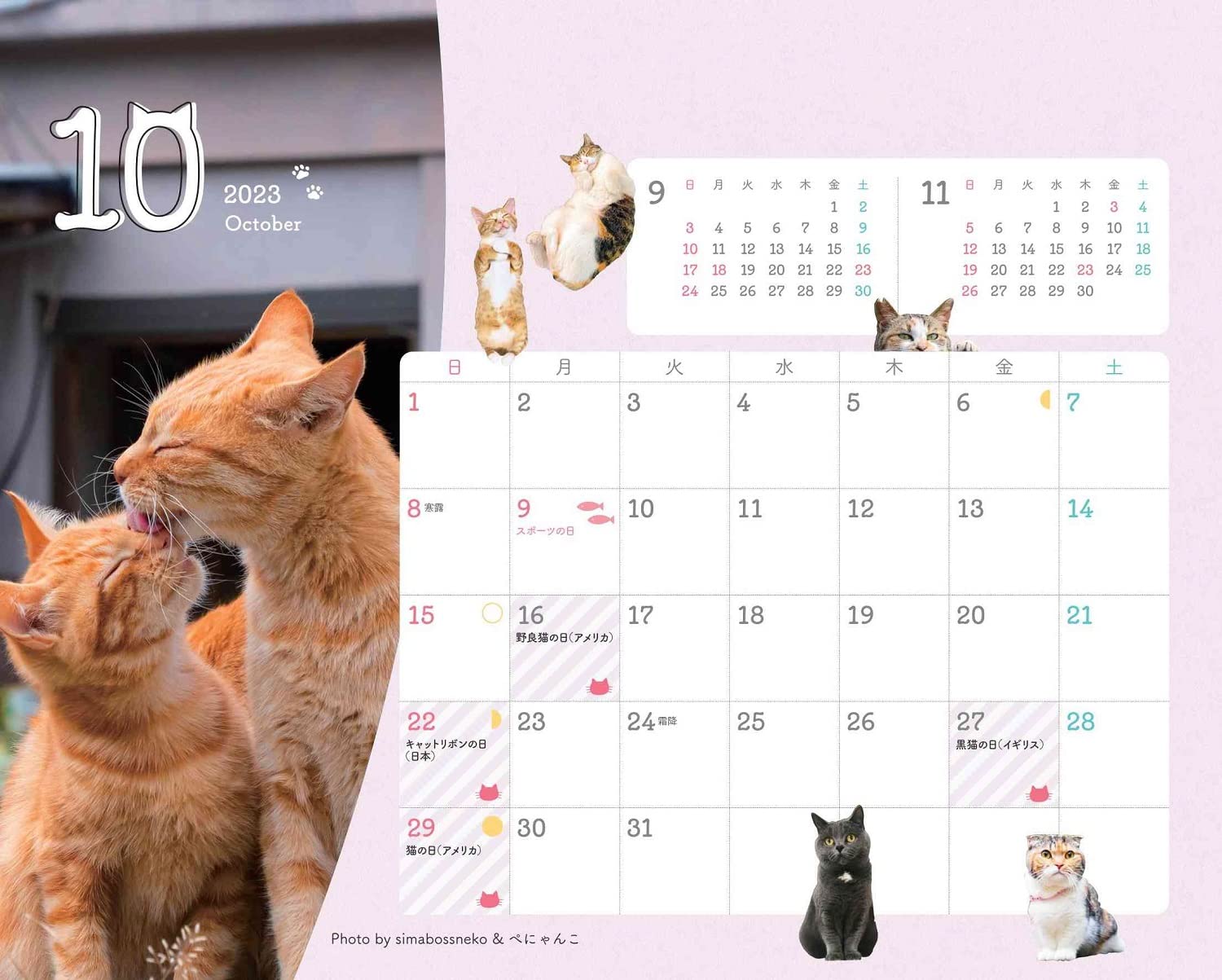 世界各国の猫の日も分かる猫カレンダー
