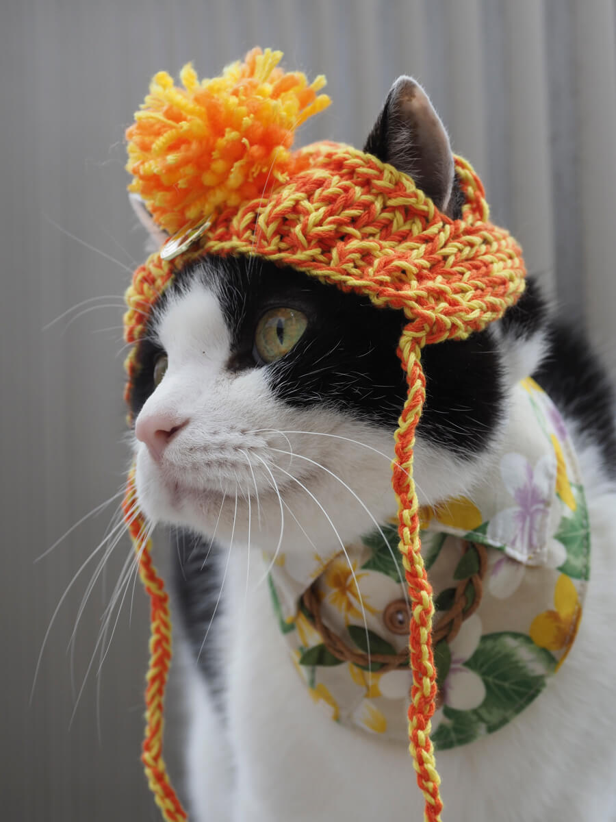 猫が装着するのを嫌がらない「にゃんこ帽子」などネコ愛にあふれた作品を作っている「徒然猫屋。」