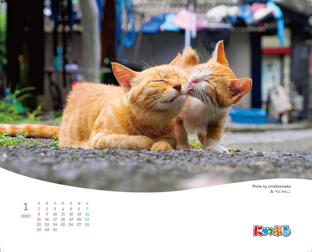 「とろける猫」をテーマにした猫カレンダー
