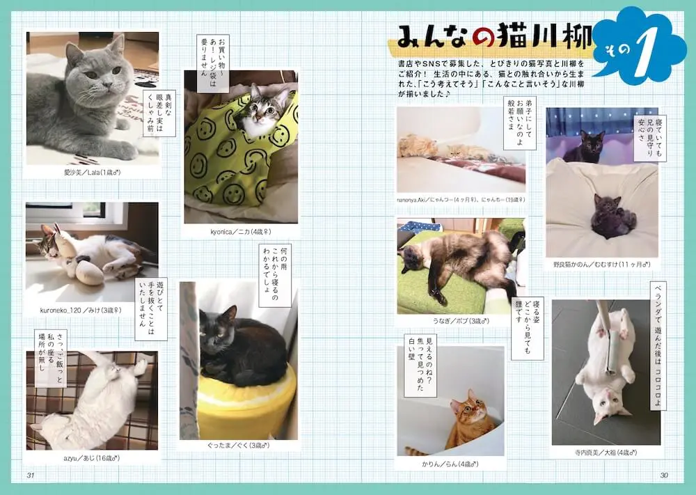 猫の写真+川柳で猫の本音を表現した「猫川柳」作品イメージ