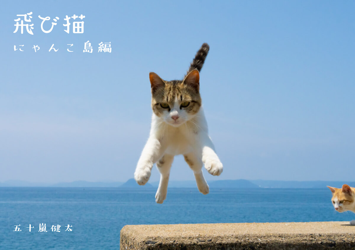 五十嵐健太の猫写真集『飛び猫　にゃんこ島編』表紙イメージ