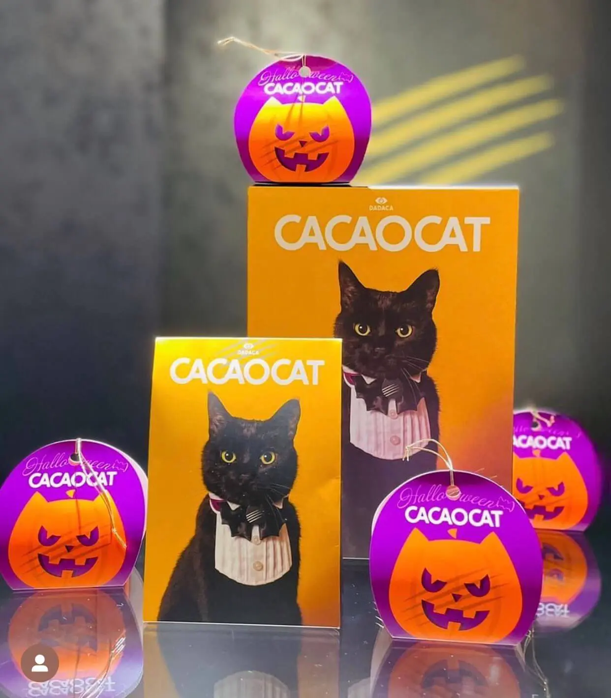 蝶ネクタイの黒猫がとっても凛々しい♪ 猫のチョコレート「カカオ