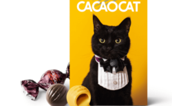 蝶ネクタイの黒猫がとっても凛々しい♪ 猫のチョコレート「カカオキャット」からハロウィン商品が登場