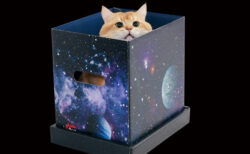 時空の概念を超えた7つの猫用品が登場！オカルト雑誌の「ムー」とペット用品メーカーが異色の初コラボ