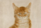 猫コレクションも収録！藤田嗣治の作品だけを集めた美術館、約180点の所蔵品を網羅した書籍『藤田嗣治 安東コレクションの輝き』を刊行