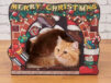 今年は猫とサンタクロースが鉢合わせ！ネコが映える爪とぎシリーズから『クリスマスハウス』が登場