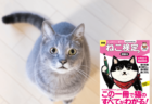 今回はスマホでも受験できる！ネコに関する知識を問う日本最大の検定「ねこ検定」6回目の開催が決定