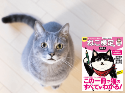 今回はスマホでも受験できる！ネコに関する知識を問う日本最大の検定「ねこ検定」6回目の開催が決定