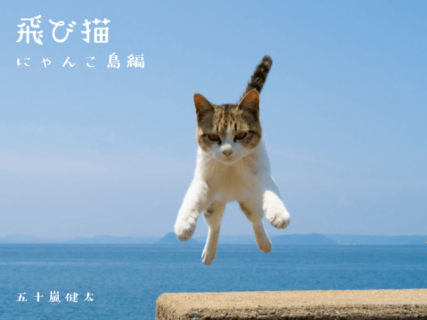 離島でジャンプするネコの姿をたっぷり収録！五十嵐健太さんの新作写真集『飛び猫 にゃんこ島編』