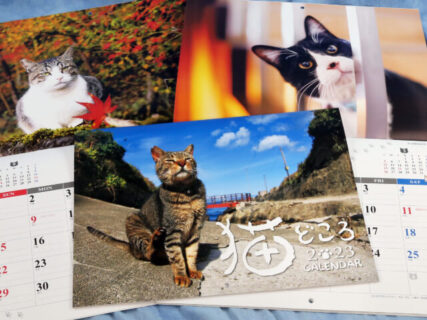 産経新聞のカメラマンが全国各地でネコを取材、人気の「猫どころカレンダー」 2023年版が登場