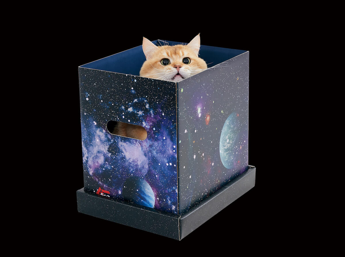 宇宙猫製造BOX by 月刊ムー×ペピイのコラボ猫用品