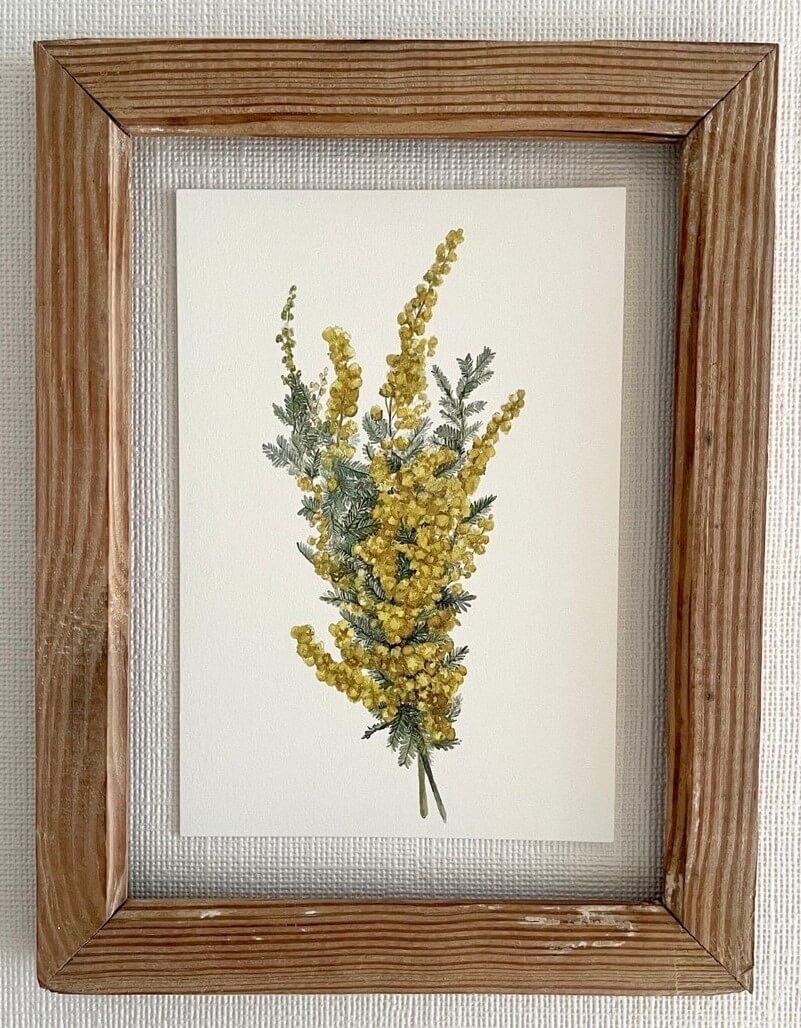植物を描いた絵画作品「mimosa」のポストカード by 髙嶋求美