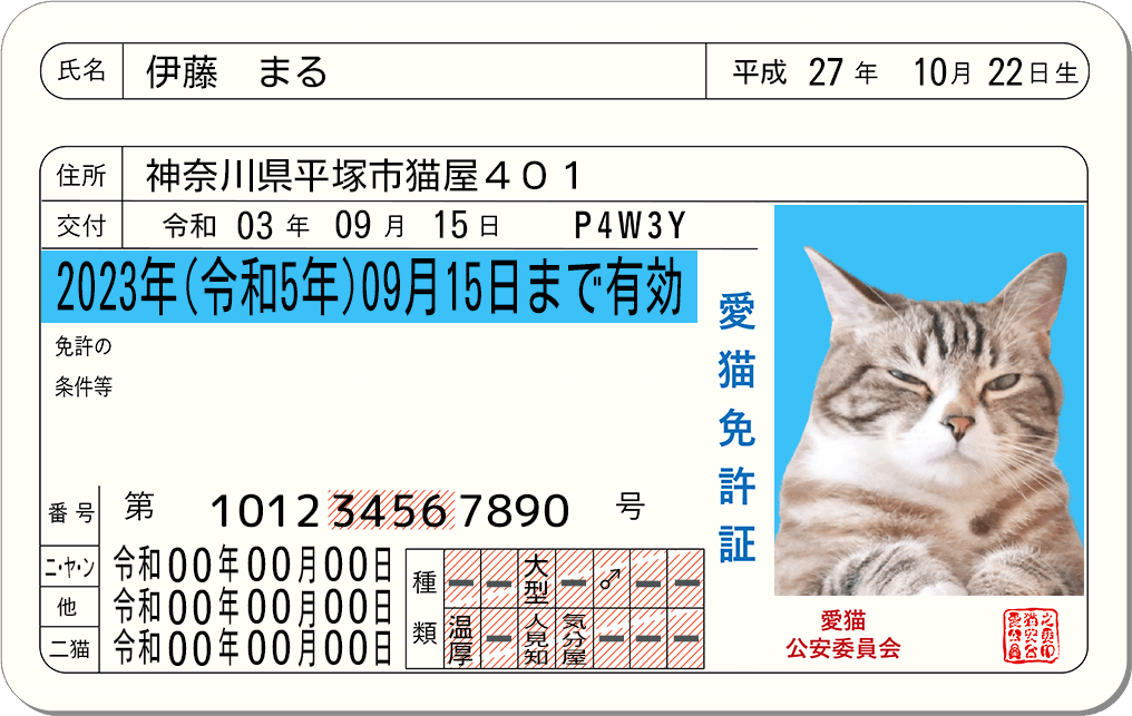 愛猫免許証のサンプル（表面イメージ）