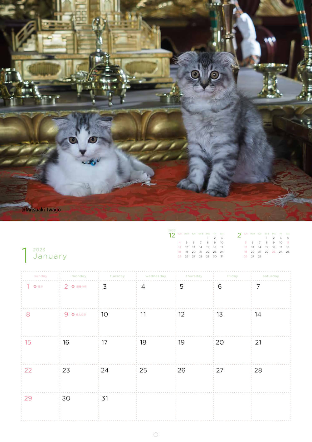 お寺の仏像の前で座る猫たちの写真 by 岩合光昭