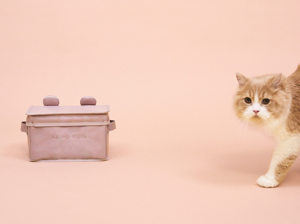 ペット用品の収納ボックス「ベアモチーフペットシーツボックス」 by GELATO PIQUE CAT&DOG（ジェラート ピケ キャット&ドッグ）