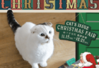 ネコ愛あふれる企画や商品に心もほっこり♪ キャッツ・イシューのクリスマスフェアが蔦屋家電で開催中