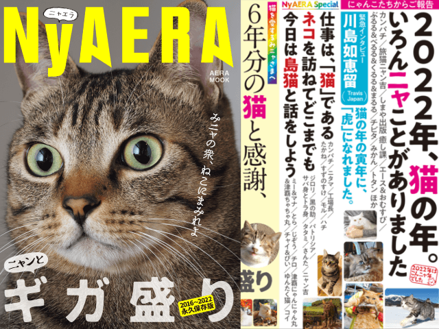 6年分の猫をギュッと詰め込んだ雑誌「NyAERAギガ盛り」が発売！過去に