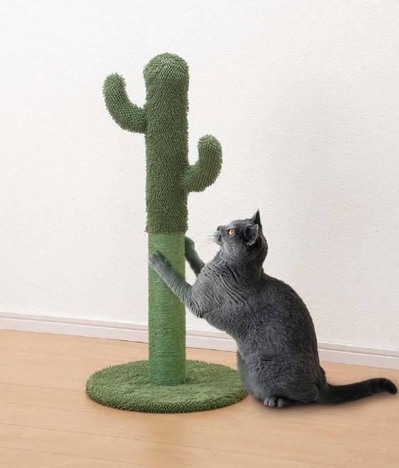 Pet ami（ペットアミ）の猫用「爪とぎタワー サボテン」使用イメージ by コメリ