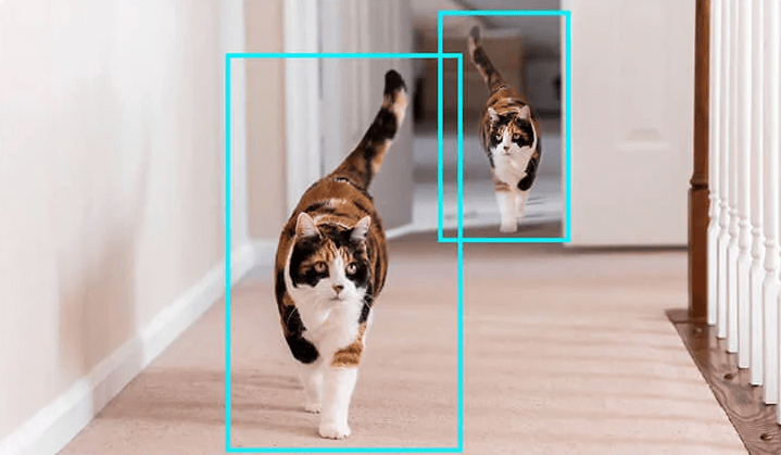 動く猫を検知して自動追尾撮影するイメージ
