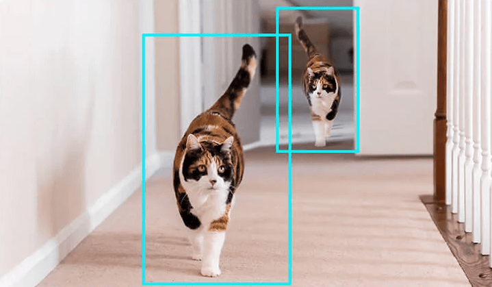 猫の安否を確認できるネコ型カメラ「にゃんボット」レンズが360度回転