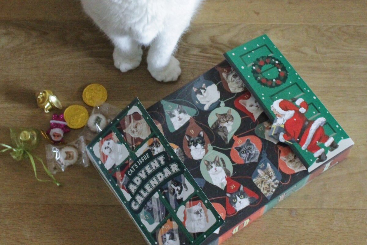 猫の扉を開けてクリスマスまでのカウントダウンを楽しめるアドベントカレンダー by キャッツ・イシュー（Cat’s ISSUE）