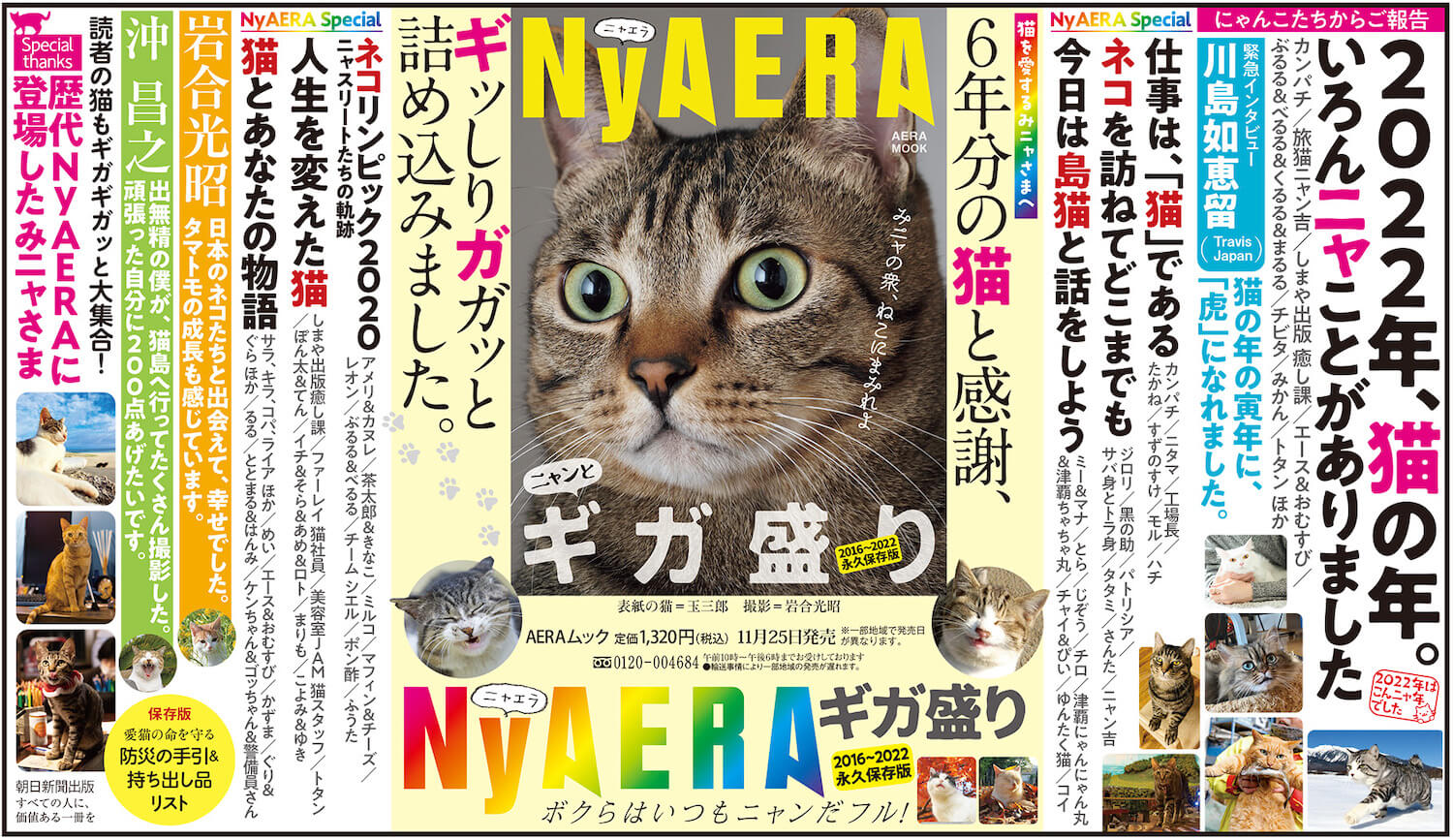 猫雑誌「NyAERA（ニャエラ）ギガ盛り」の収録コンテンツイメージ