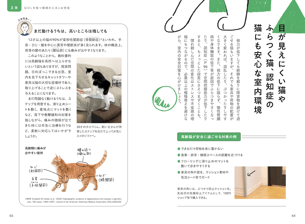 高齢猫が安全に過ごす室内環境について解説したページ by 猫の介護ハンドブック