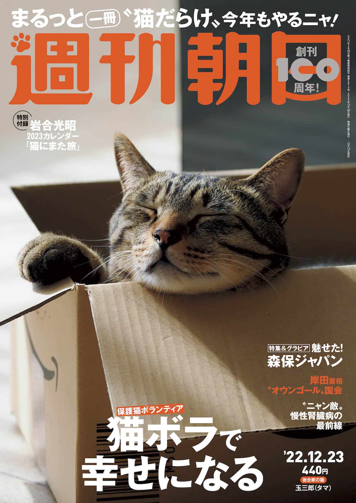 ネコ特集が収録された雑誌「週刊朝日 2022年12月23日号」の表紙イメージ