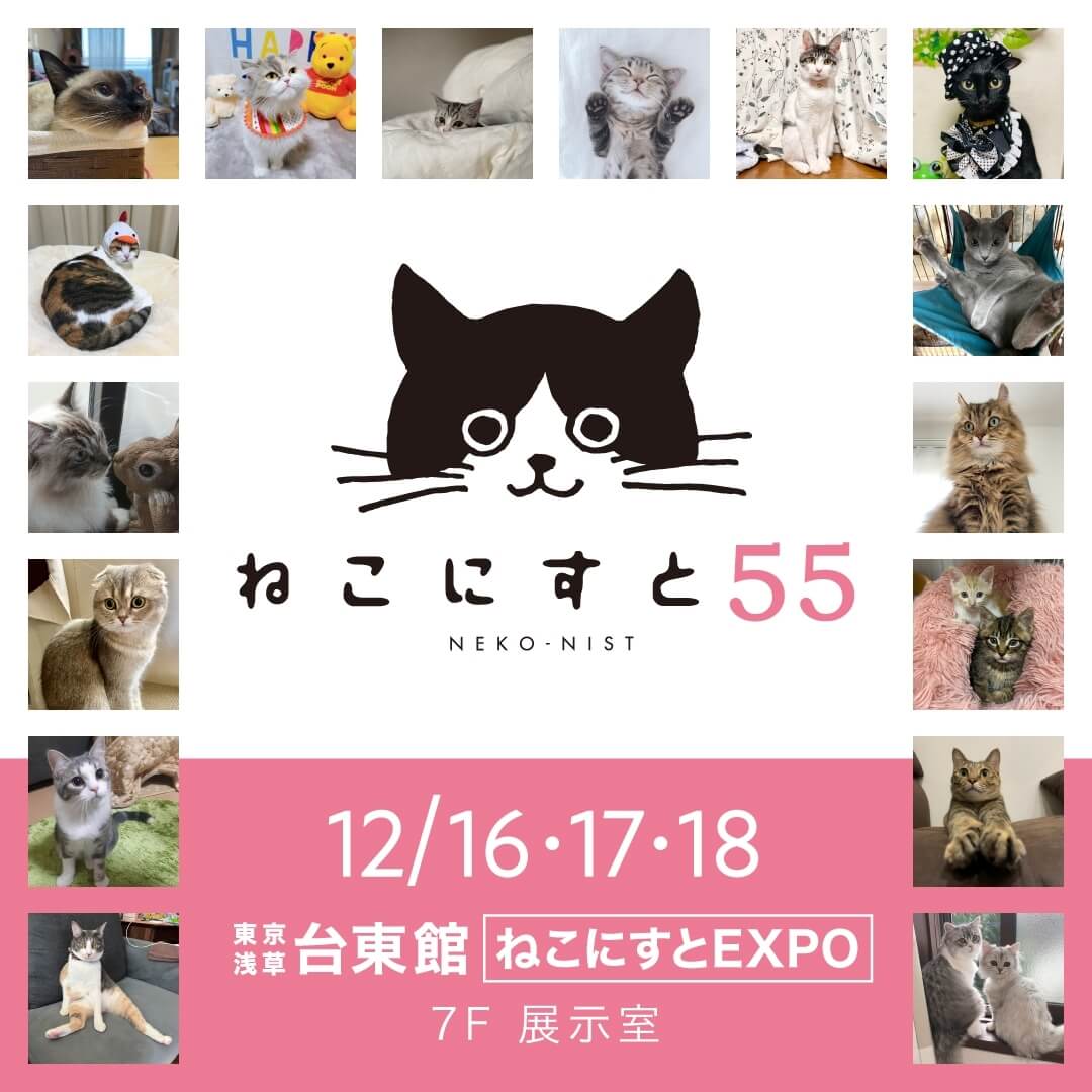 猫の写真展示イベント「ねこにすと（NEKO-NIST）」第55回 メインビジュアル