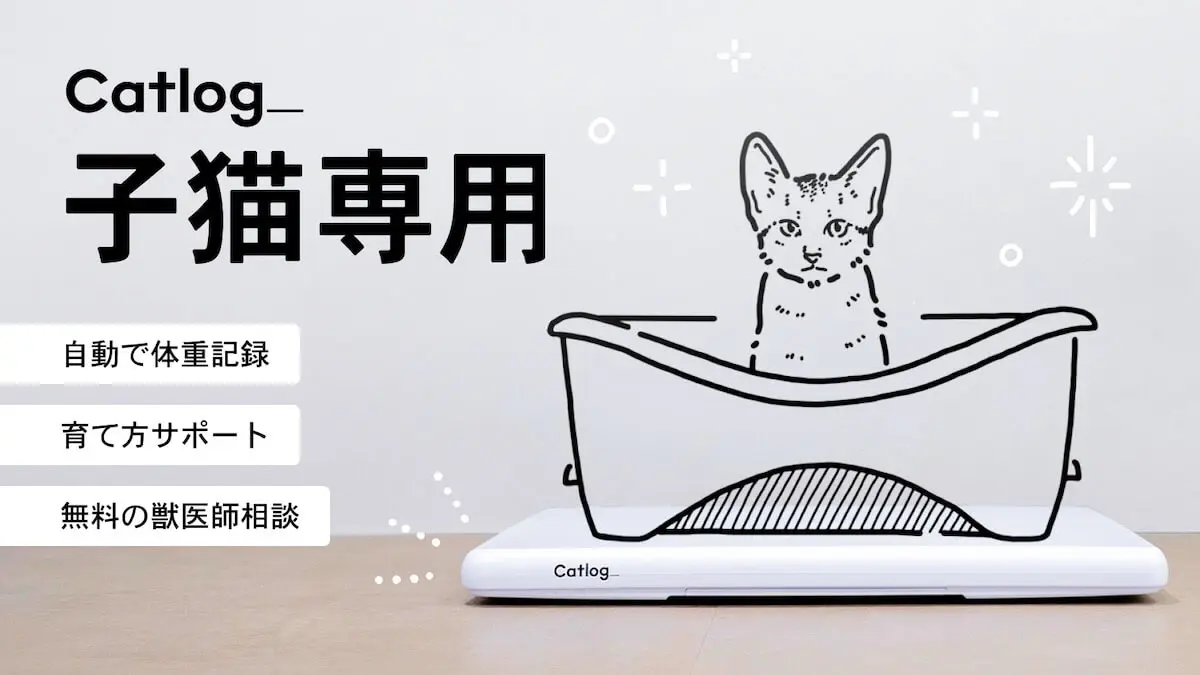 猫の行動データなどを自動で記録するCatlog（キャトログ）、新たに「子猫モード」と「スコア表示」機能を搭載 | Cat Press（キャットプレス）