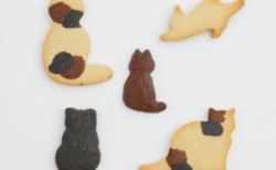 4種類のねこ型クッキーがぎっしり！ウカフェで人気の三毛猫クッキーにクリスマス限定パッケージが登場