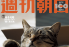 週刊朝日が6年連続で「ネコ特集号」を刊行！表紙は岩合さんの愛猫タマちゃん＆映画スター猫のグラビアもたっぷり収録