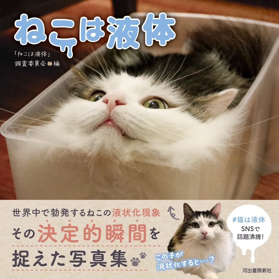 液体のように柔らかい猫ばかりを集めた写真集『ねこは液体』表紙イメージ