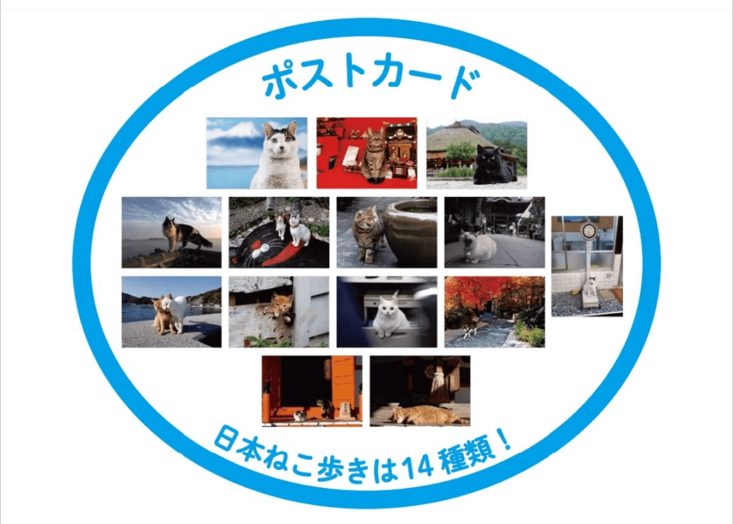 写真展「岩合光昭の日本ねこ歩き」のポストカード