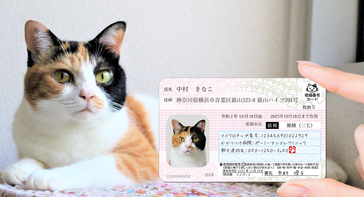 愛猫の写真から作れるマイナンバー風グッズ「マイニャンバーカード」