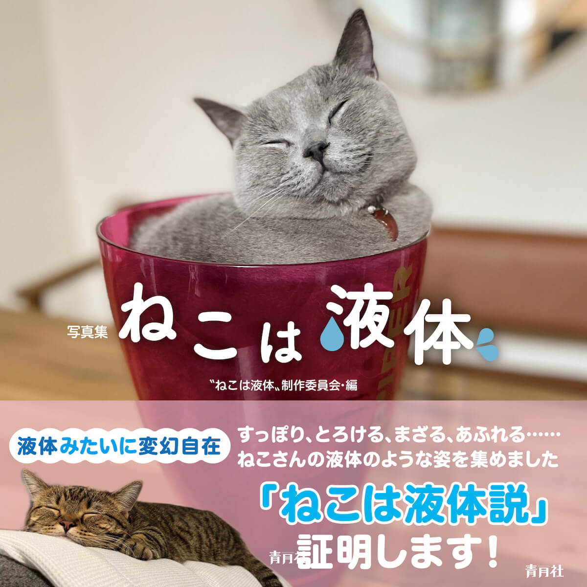 青月社から出版された猫の写真集『ねこは液体』表紙イメージ