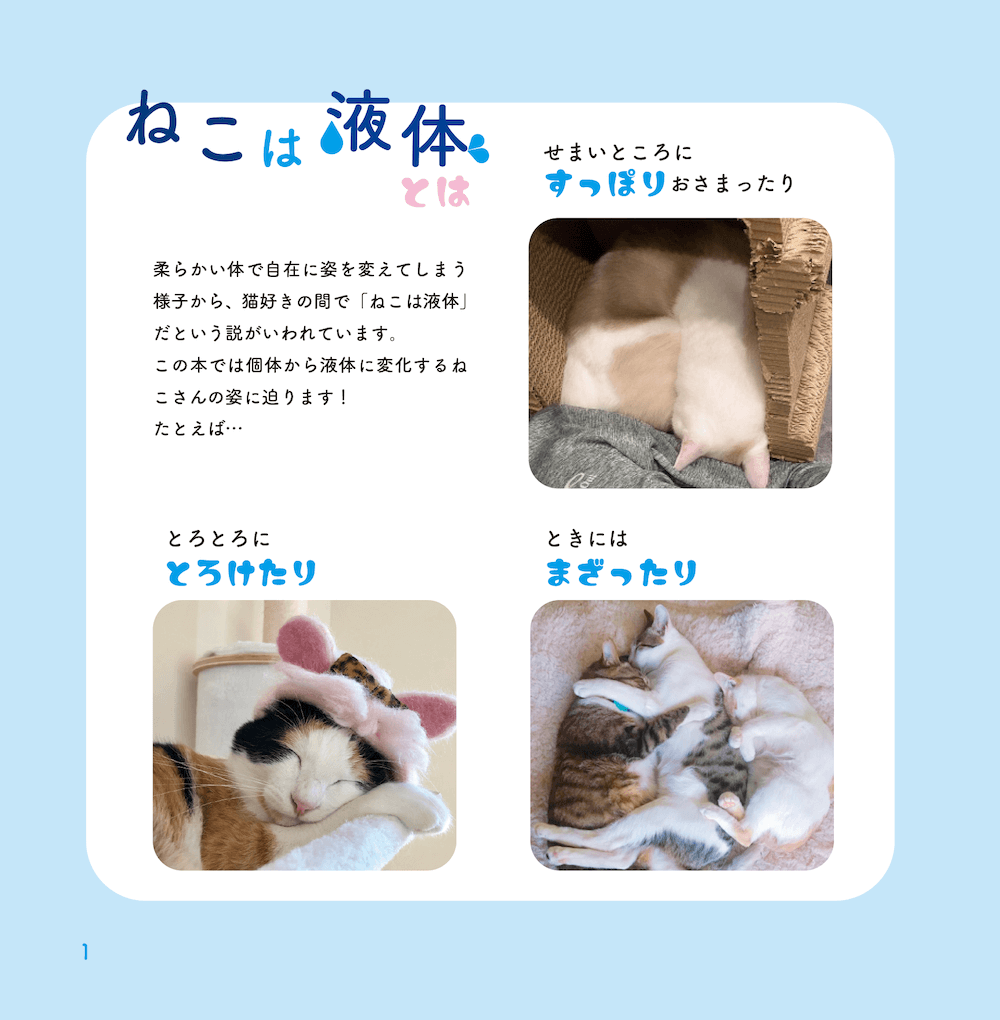 青月社から出版された猫の写真集『ねこは液体』中面イメージ1