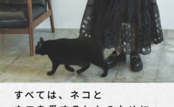黒猫とお散歩している気分になれそう♪ブラックを基調としたファッションブランドから黒猫モチーフのポーチ＆バッグが発売