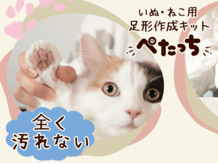 犬猫のおててをムギュッと押すだけ！ペットの手形や足形を作れるキット「ぺたっち」が登場、インクに触らず肉球も汚れニャい