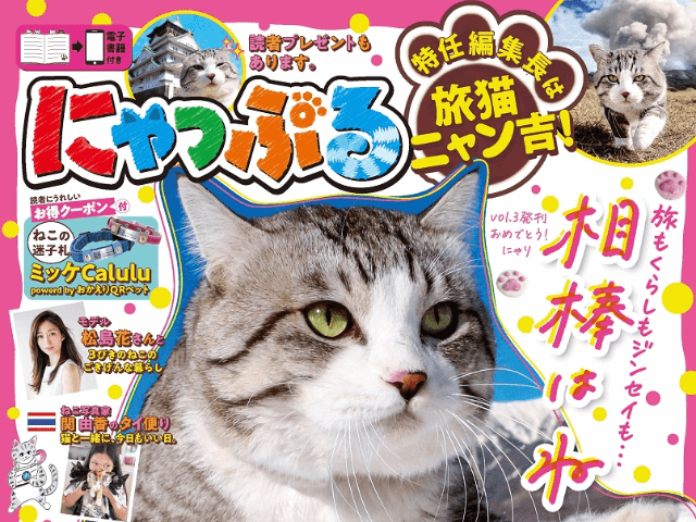 47都道府県を訪れた旅猫「ニャン吉」が巻頭グラビアで登場！ねこ雑誌