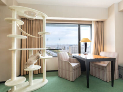 ホテルのお部屋に2mの大型キャットタワーを完備！ハイアットリージェンシー大阪に猫といっしょに泊まれる客室が登場
