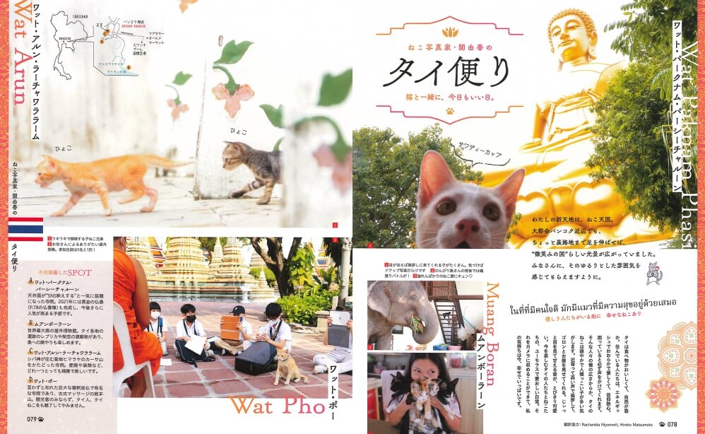 猫写真家・関由香さんによるタイの猫レポート by にゃっぷる第3弾