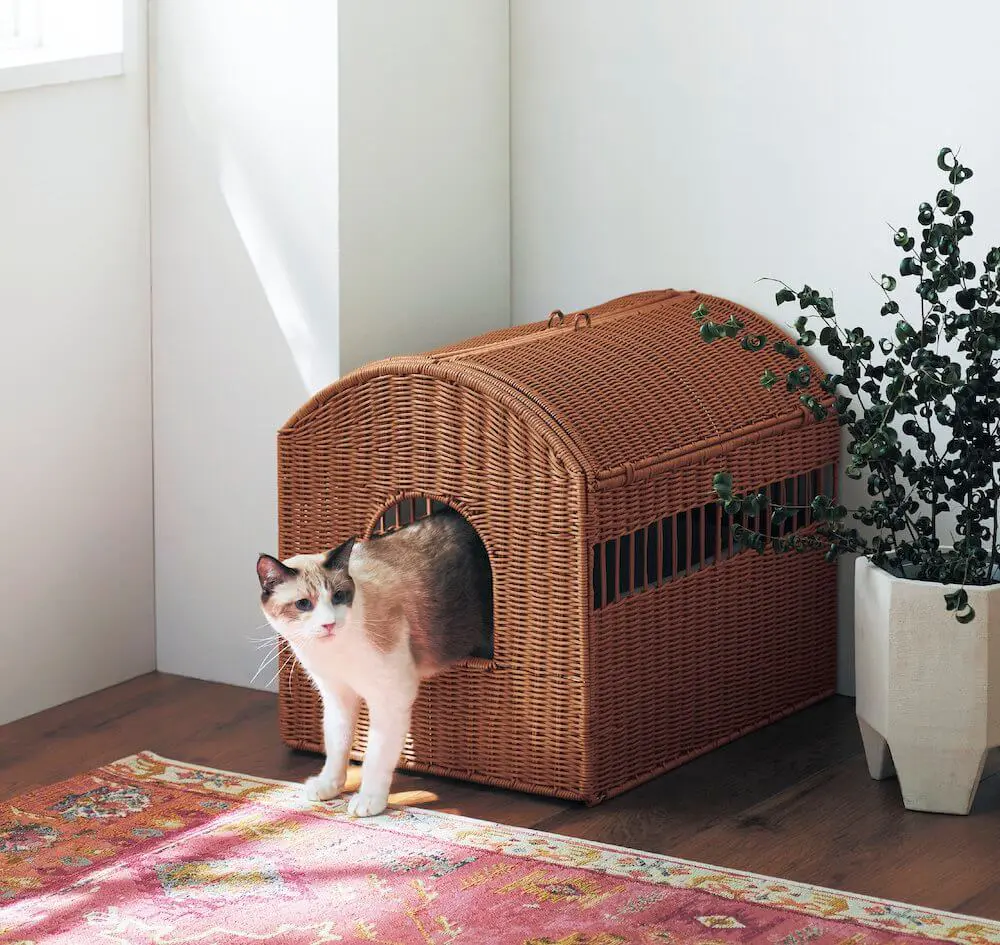 ベルメゾンから新しい猫家具「オープンラック＆トイレカバー」が登場